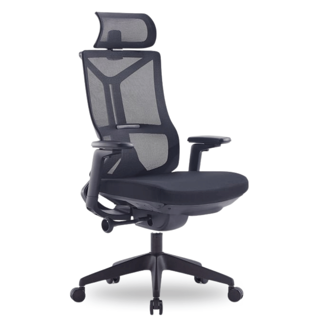 ErgoDoc Office Chair 