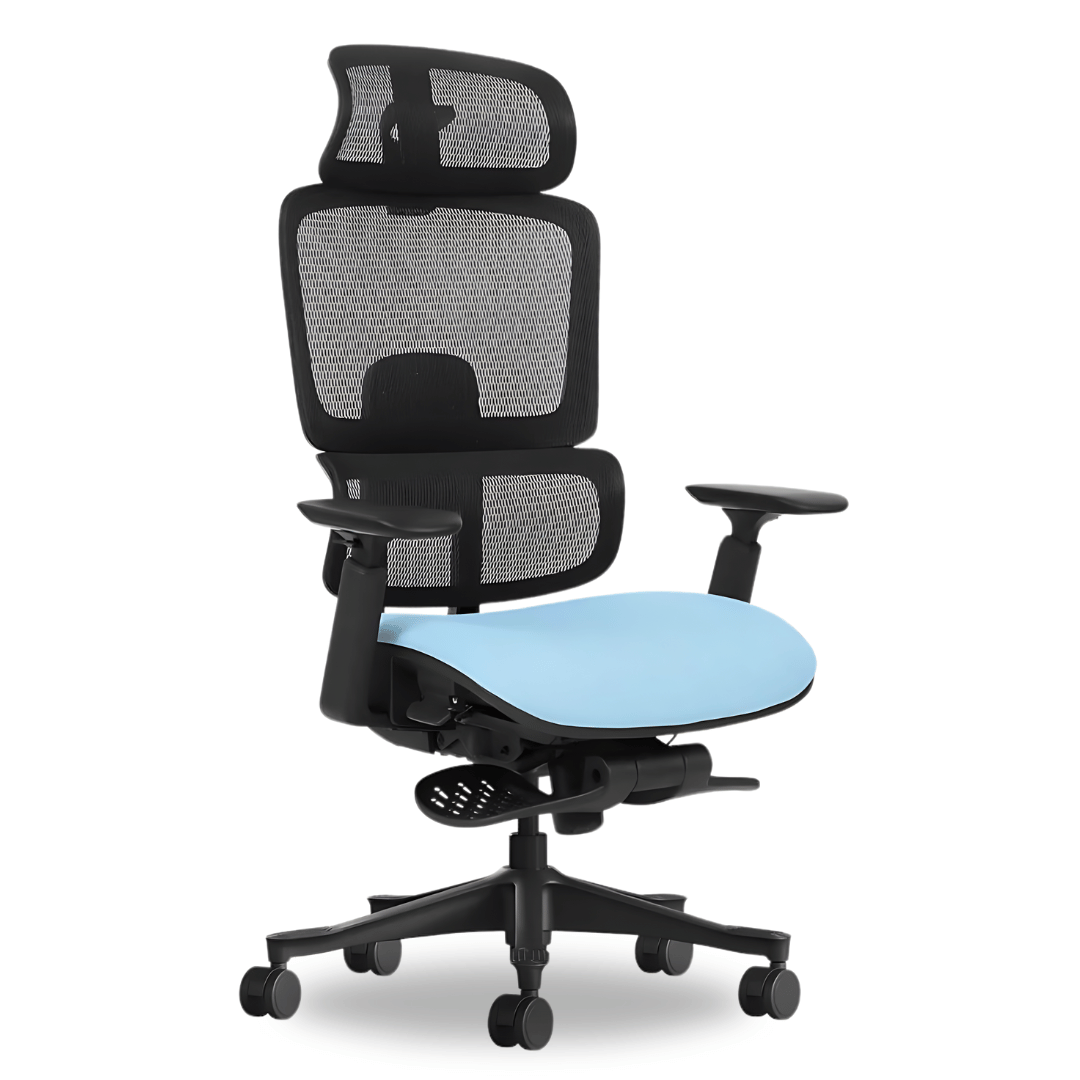ErgoSphere Executive Office Chair 