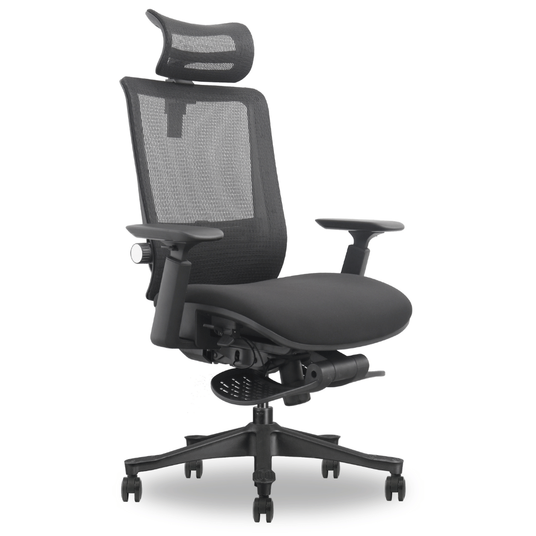 ErgoLux Executive Office Chair