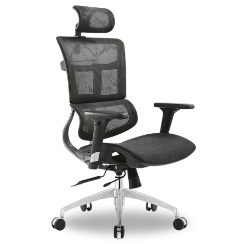 Ergodoc Premium High Back Chair