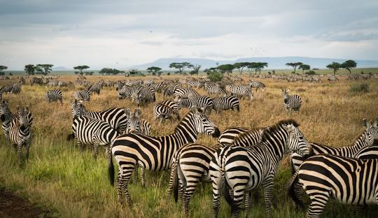 Serengeti National Park