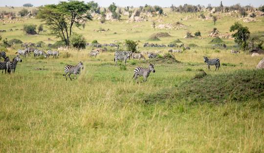 Serengeti National Park