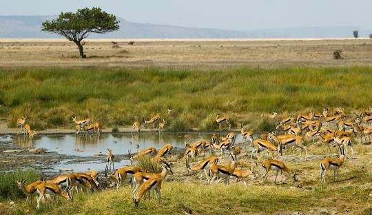 Serengeti National Park