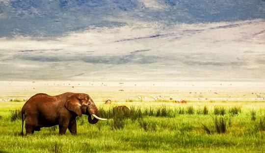 Ngorongoro Conservation Area