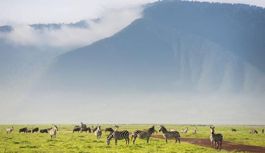 Ngorongoro Conservation Area