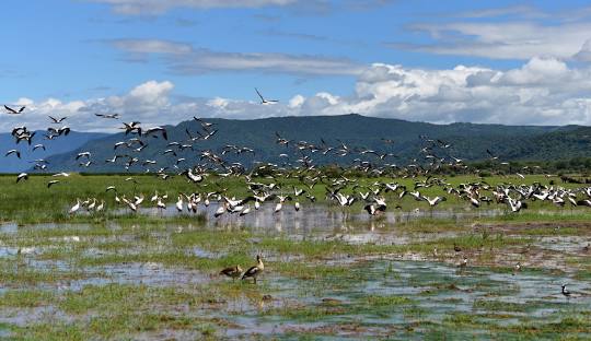 Lake Manyara