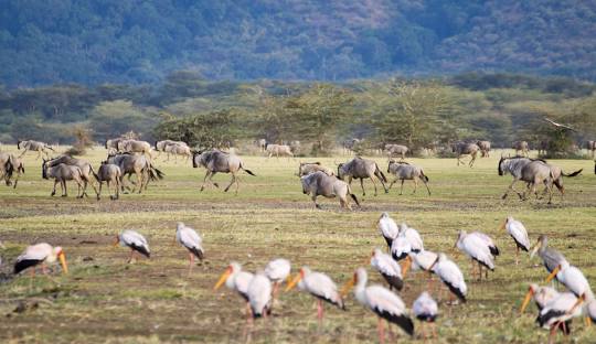 Lake Manyara