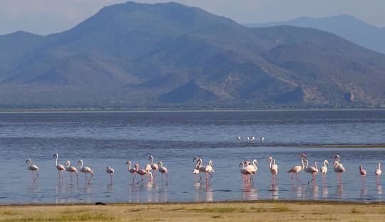 Lake Manyara