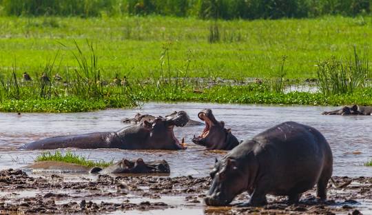 Lake Manyara