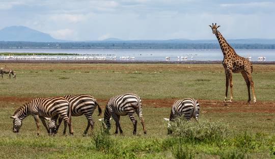 Lake Manyara