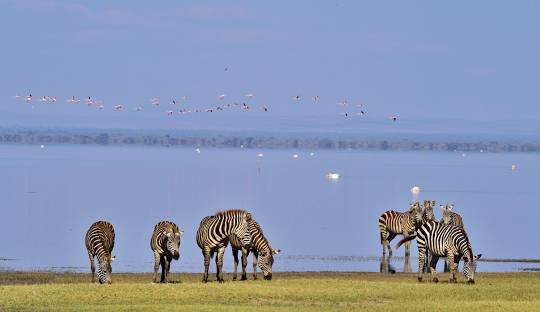 Lake Manyara