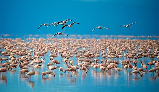 Lake Manyara