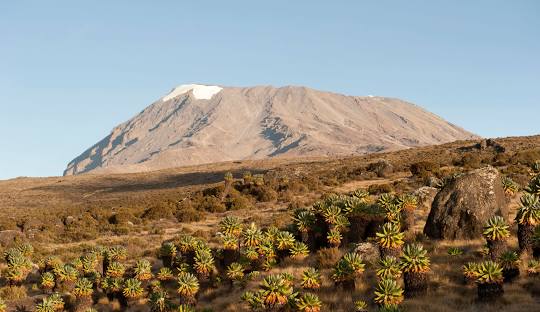 Kilimanjaro Mountain