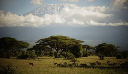 Kilimanjaro Mountain