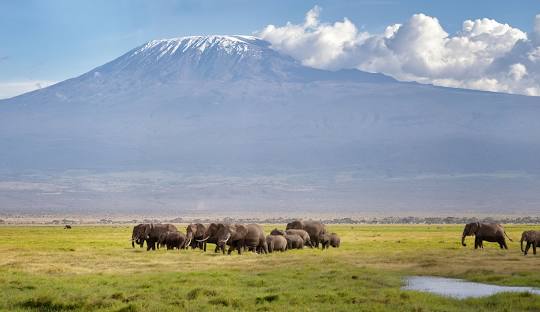 Kilimanjaro Mountain