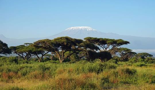 Kilimanjaro Mountain