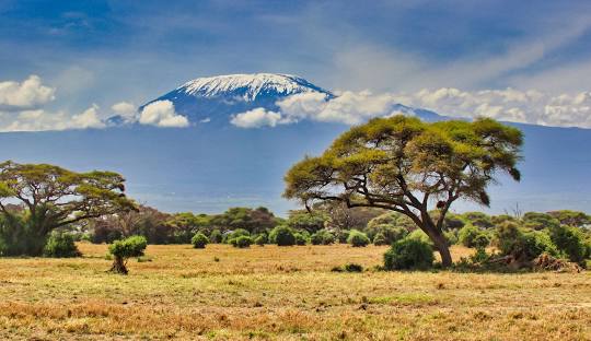 Kilimanjaro Mountain