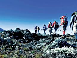 Kilimanjaro northen route
