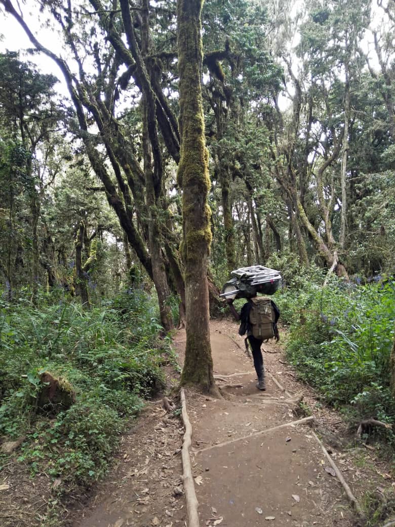 marangu
