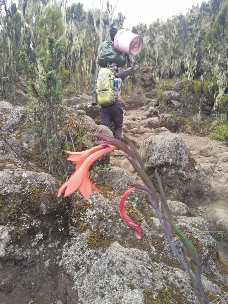 marangu