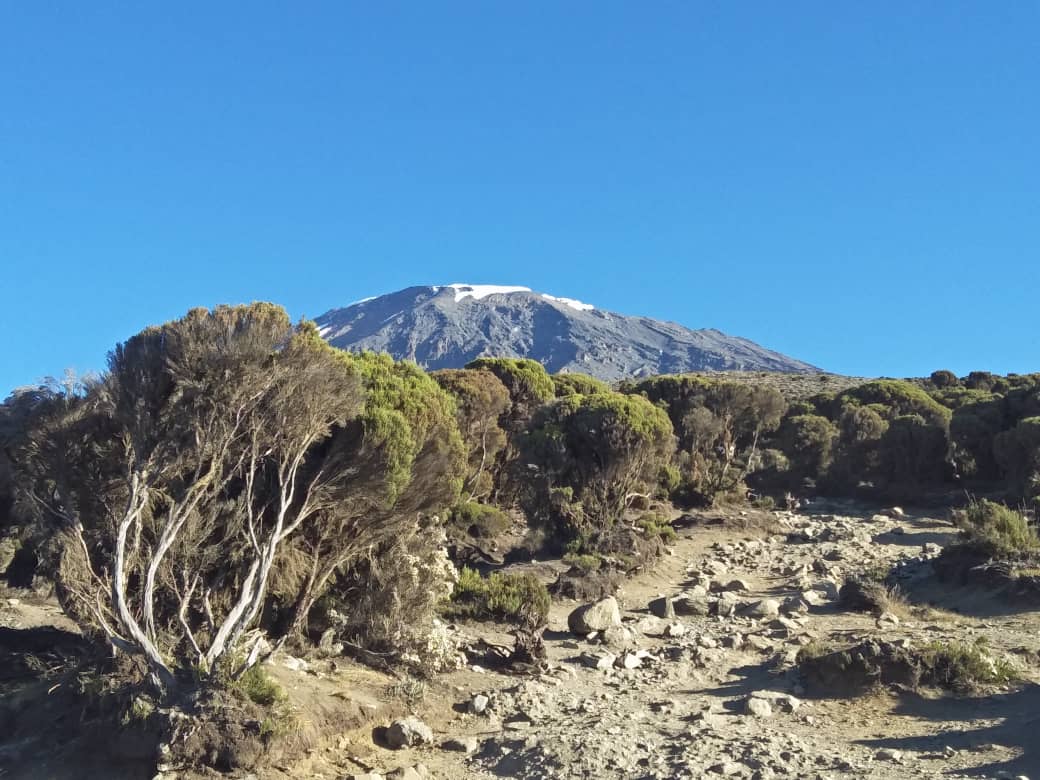 machame