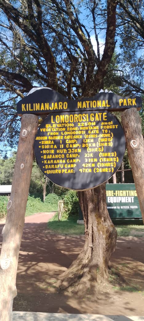 rongai