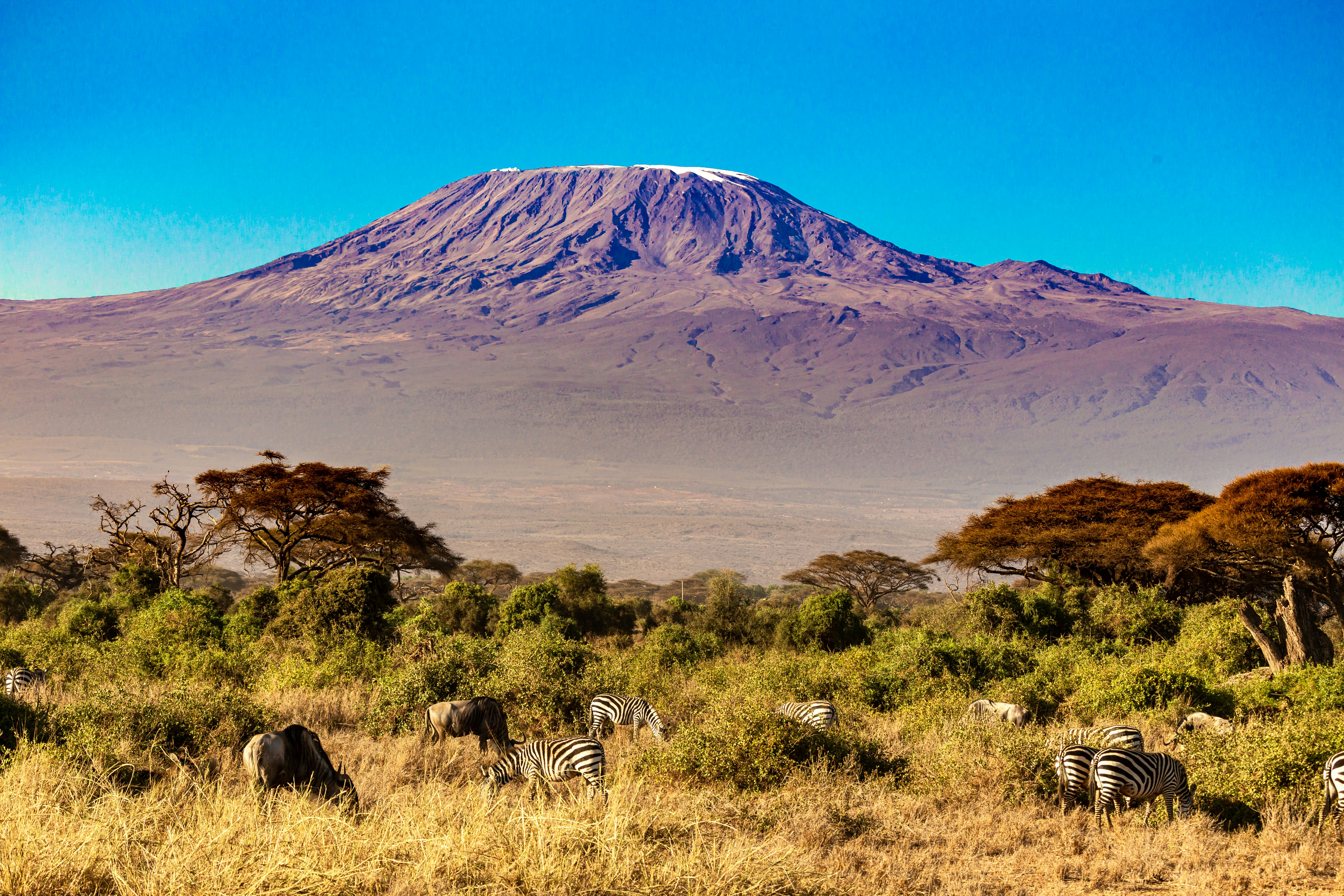 Mount Kilimanjaro National Park