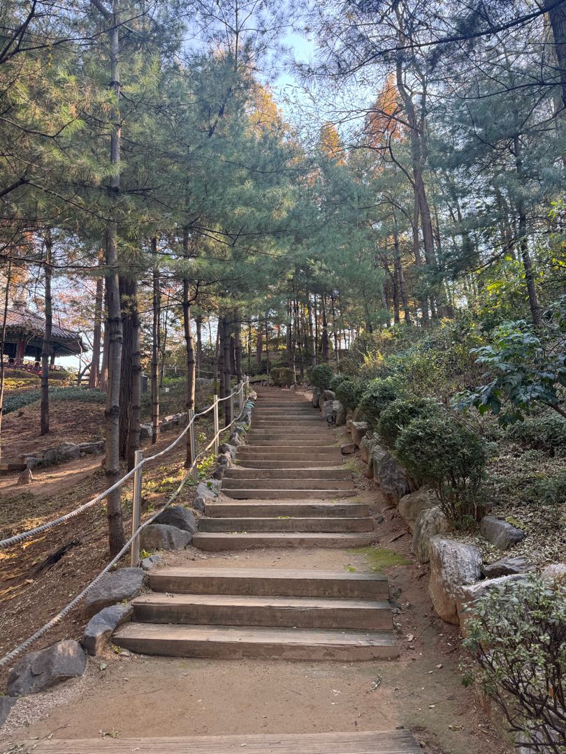 Hakdong Park Seoul🇰🇷