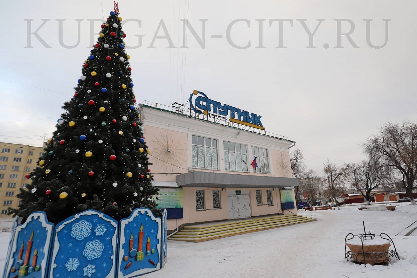Сосна Новогодняя В Кургане Сосна Новогодняя В Кургане