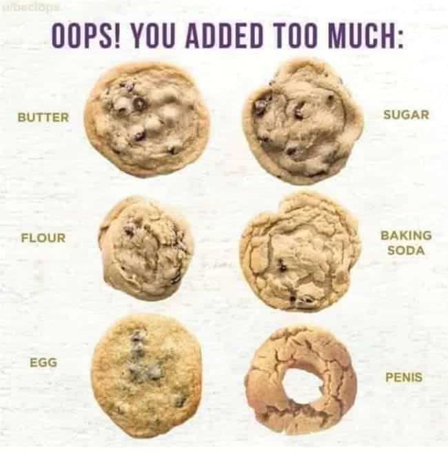 best funny pictures, funny pics, funny photos, funny pictures, funny vids, the best funny pictures, really funny photos, crazy funny photos, funny photo dump, pics you can't stop laughing at