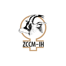 ZCCM Investments Holdings PLC