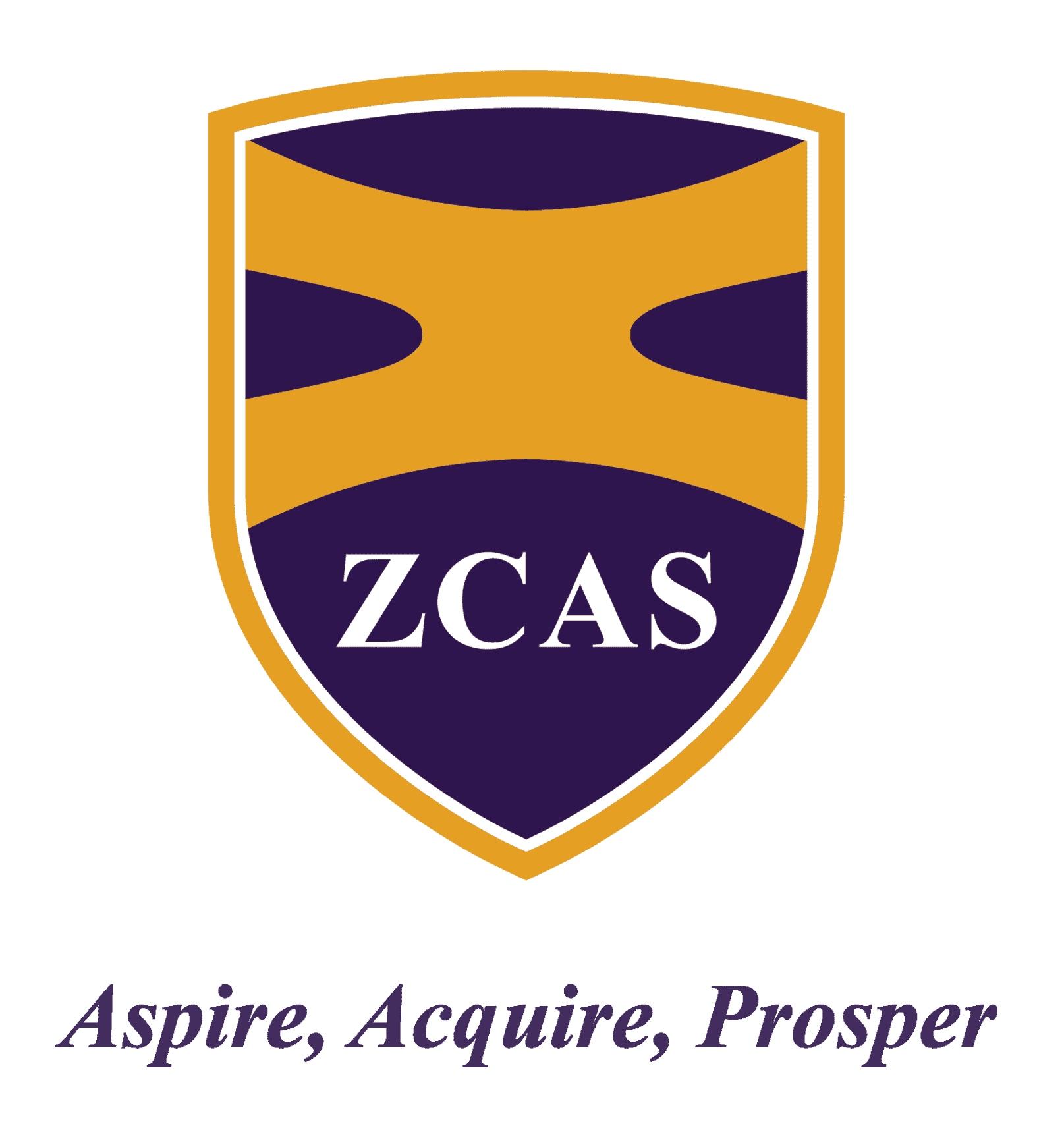 ZCAS University