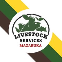 Livestock Services Mazabuka