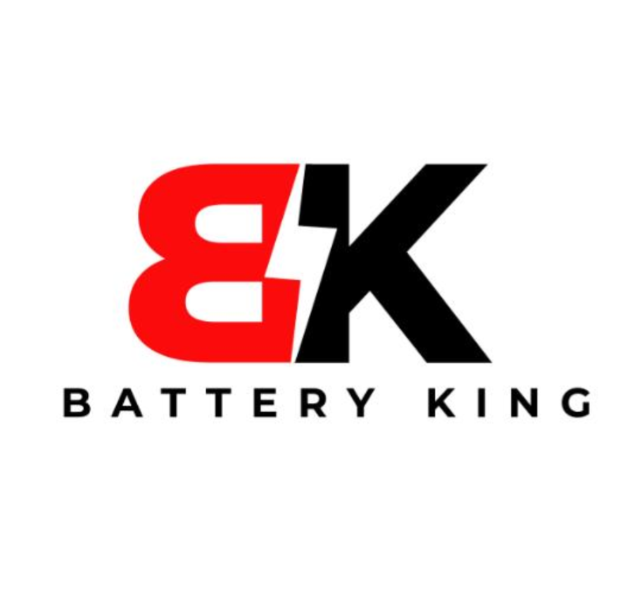 BATTERY KING INVESTMENTS LIMITED