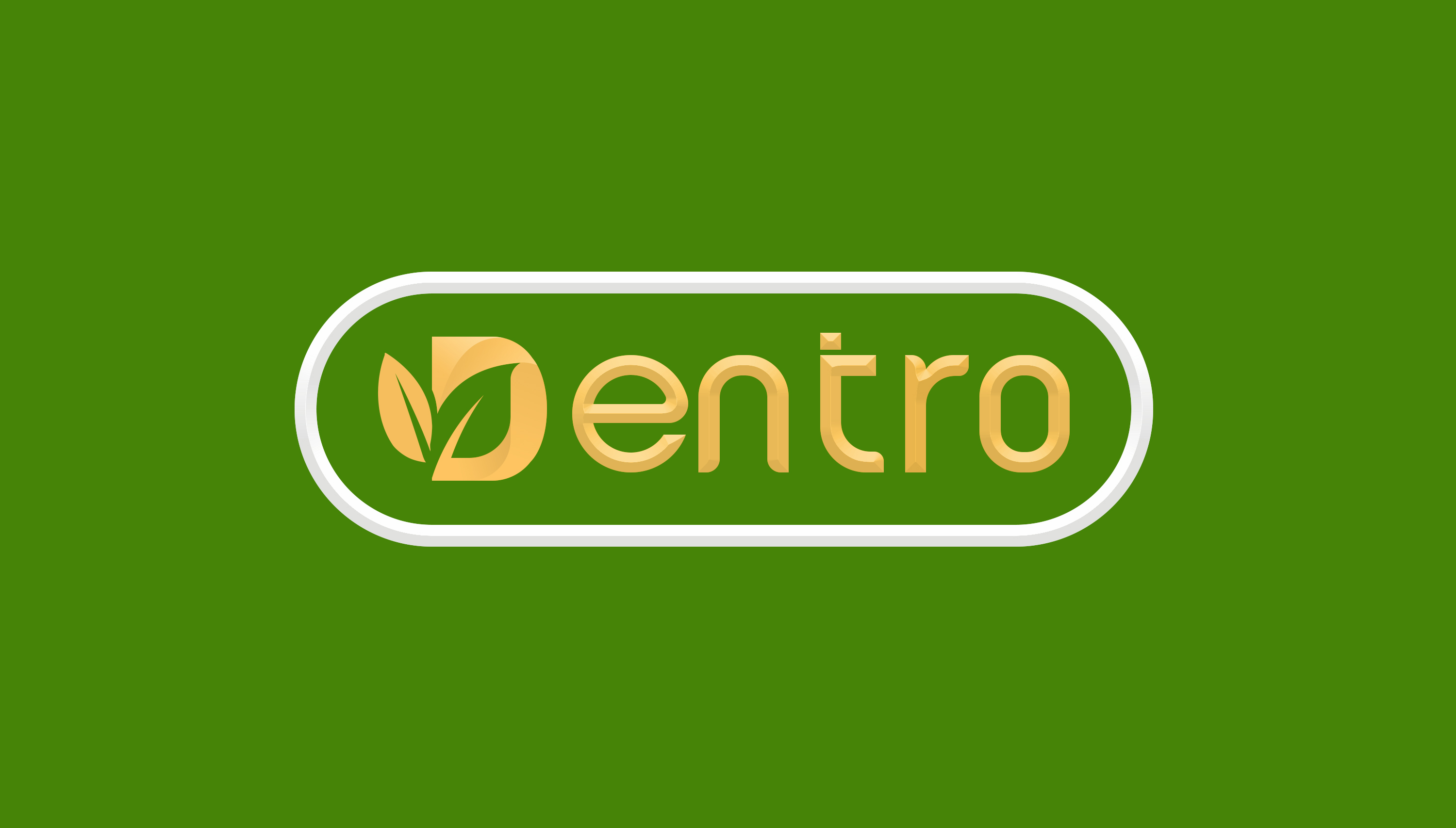 DENTRO INVESTMENT HOLDINGS