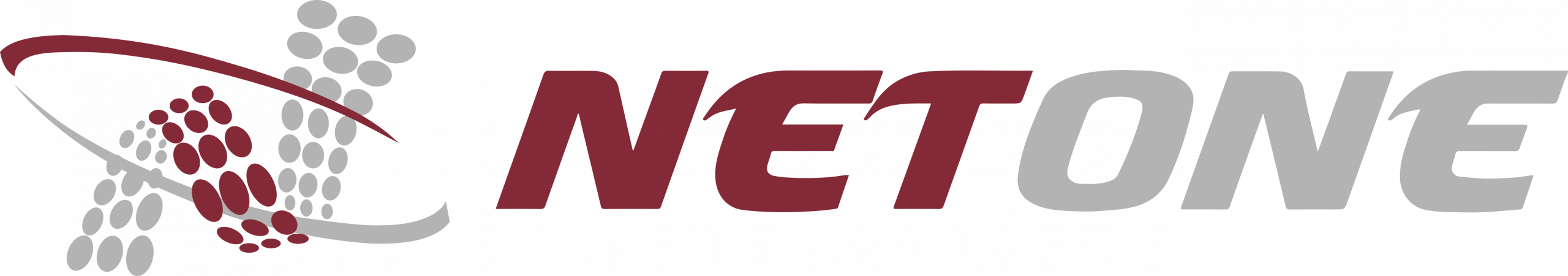 NetOne Information Technology Ltd