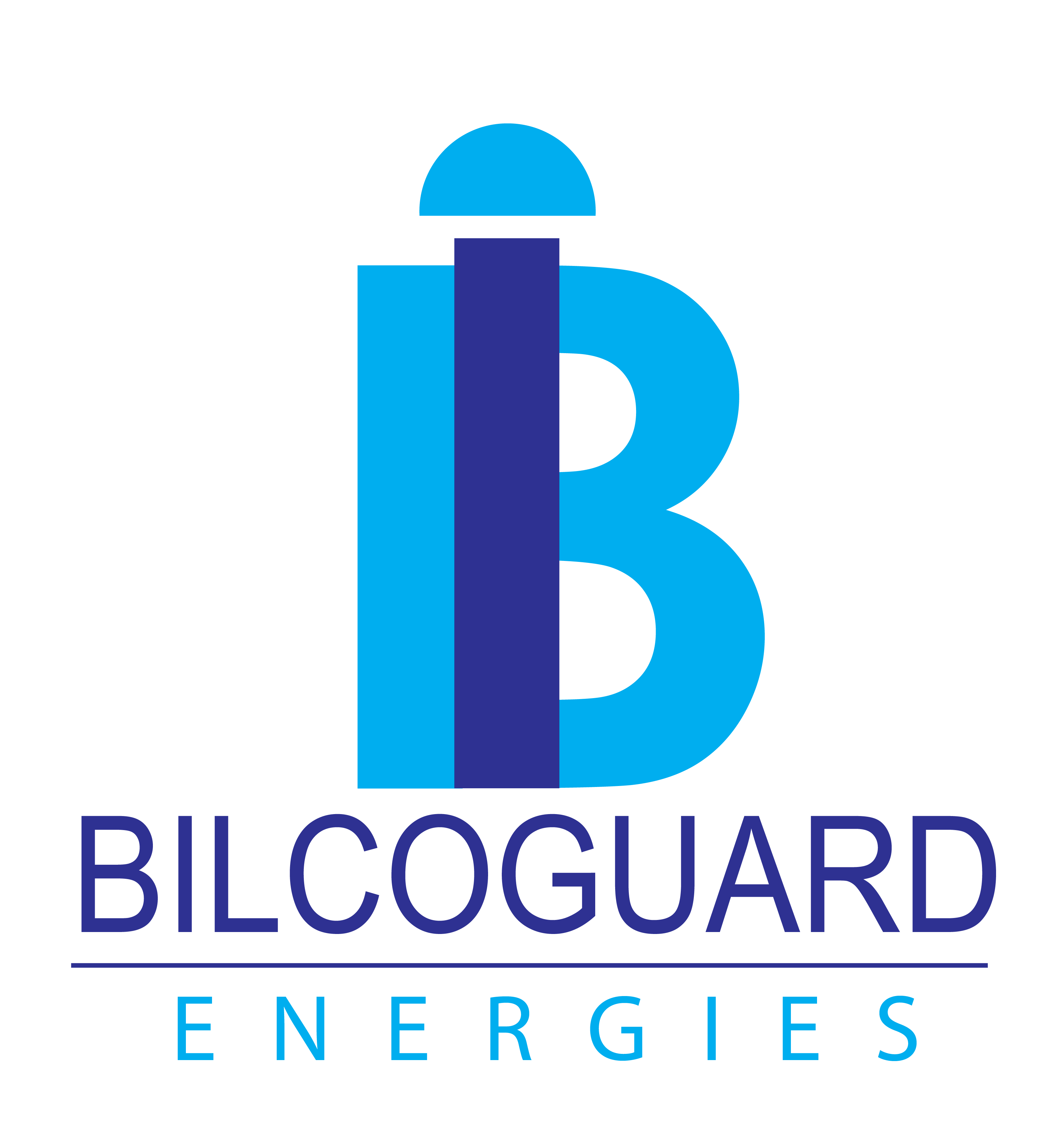 Bilcoguard Energies Limited