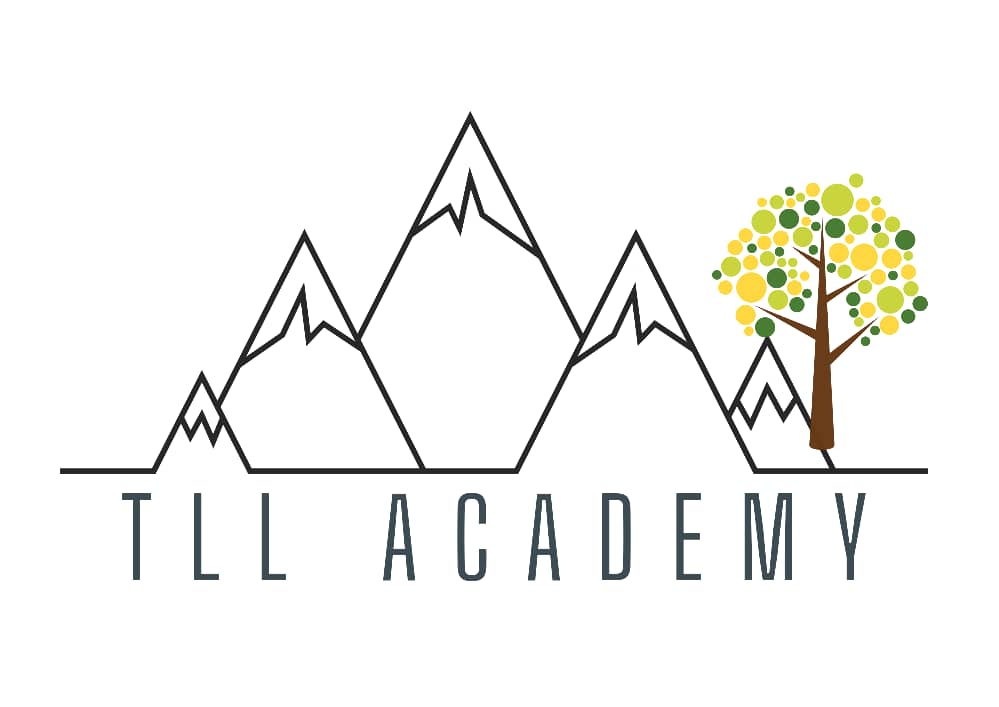 The Learning Ladder Academy