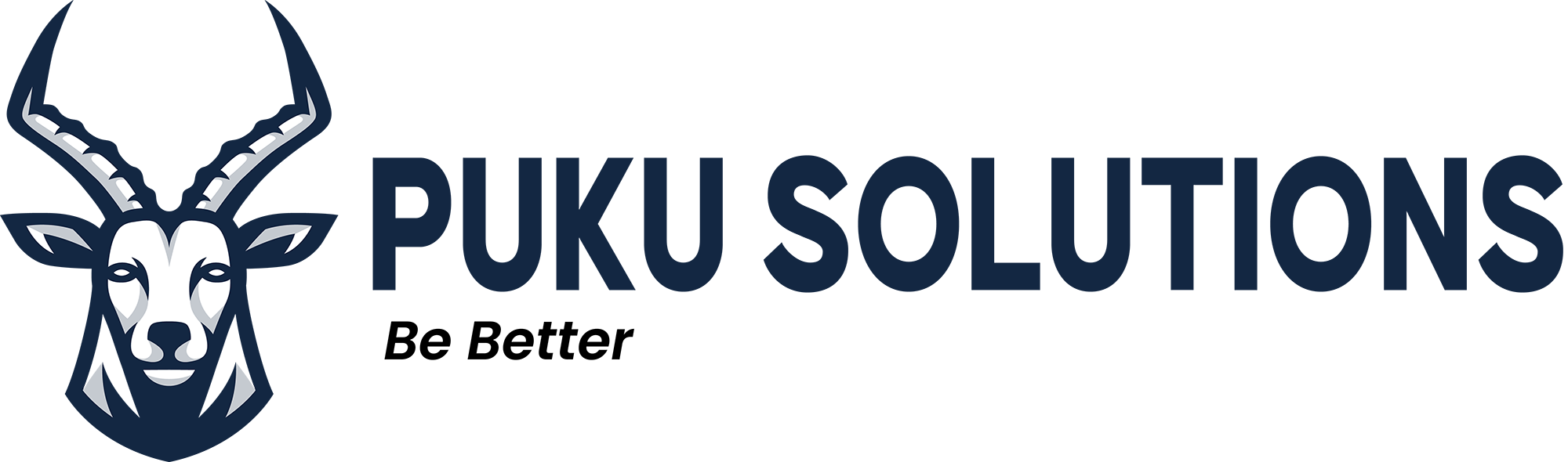 Puku Solutions