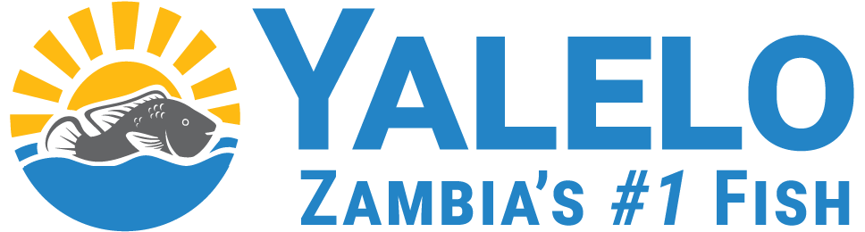 Yalelo Limited