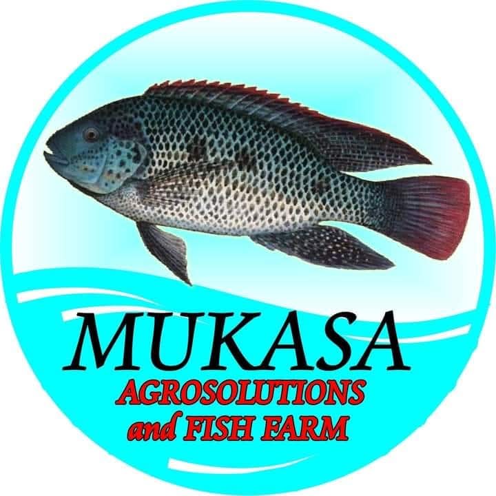 Mukasa Agrosolutions and fish farm Limited