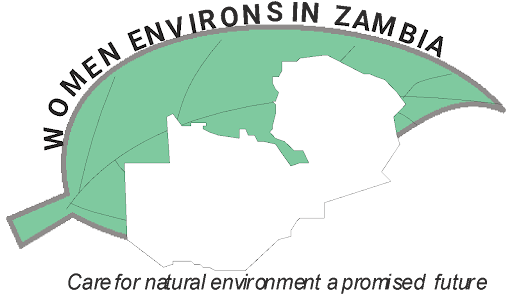Women Environs Zambia