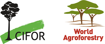 Center for International Forestry Research (CIFOR) and World Agroforestry (ICRAF)