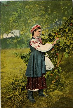 Малороссийские типы В-садку.jpg