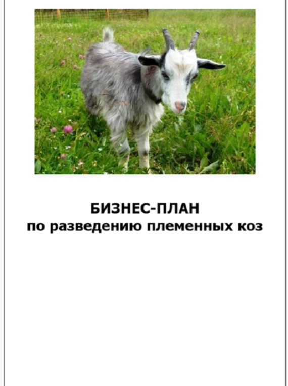 Оформление обложки бизнес-плана