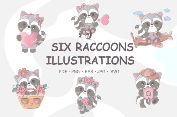 Cute Raccoon Illustrations