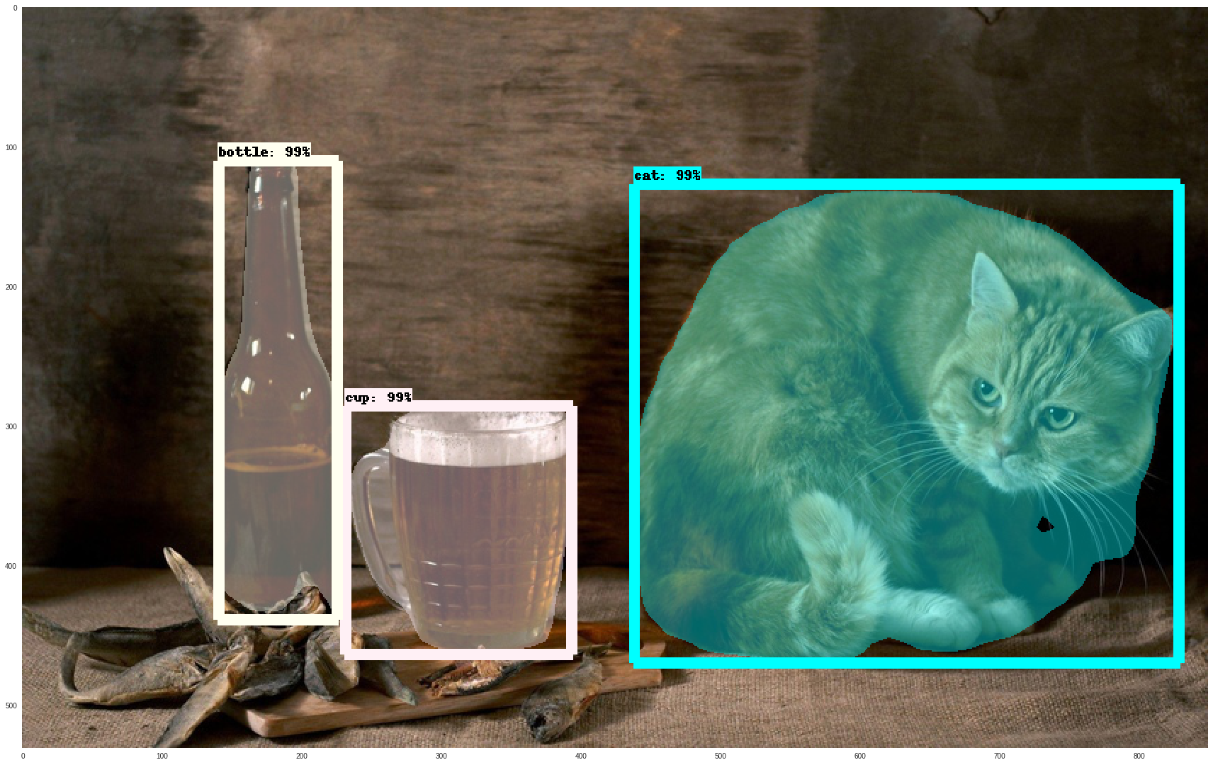 Image with bounding boxes and masks