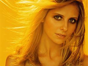 Фотография Sarah Michelle Gellar