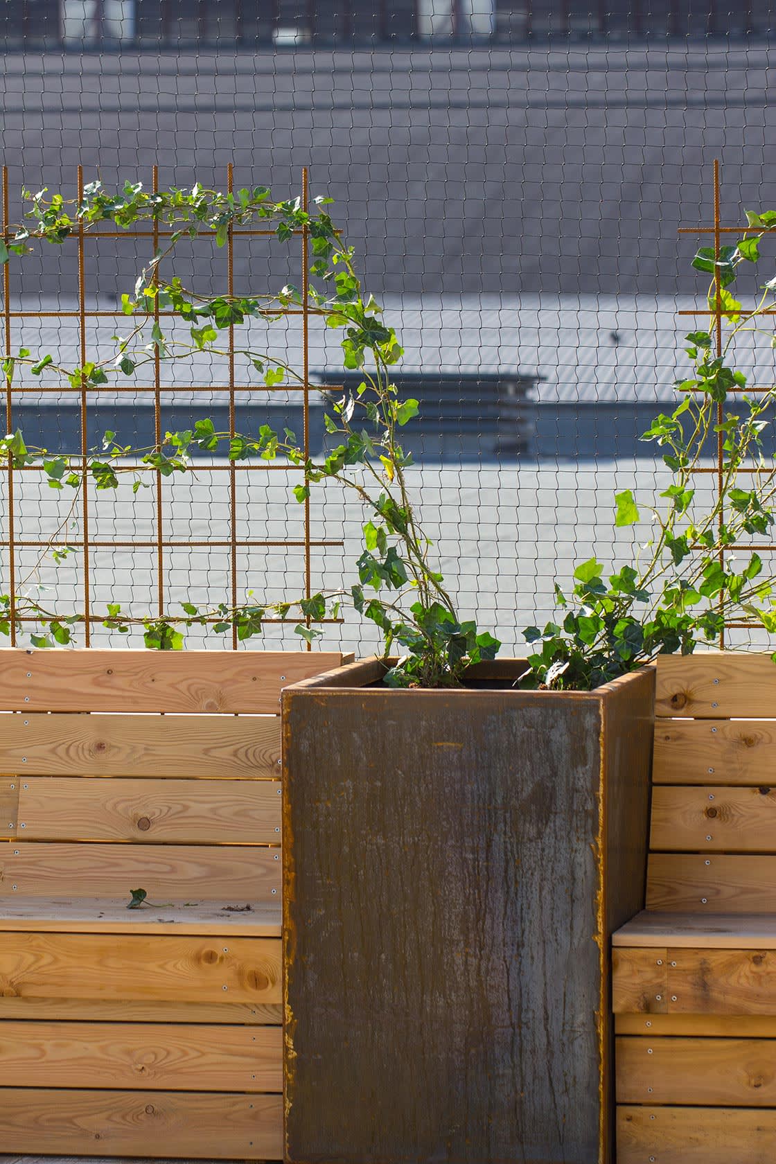 Abattoir_plantenbak_Hedera_klimop