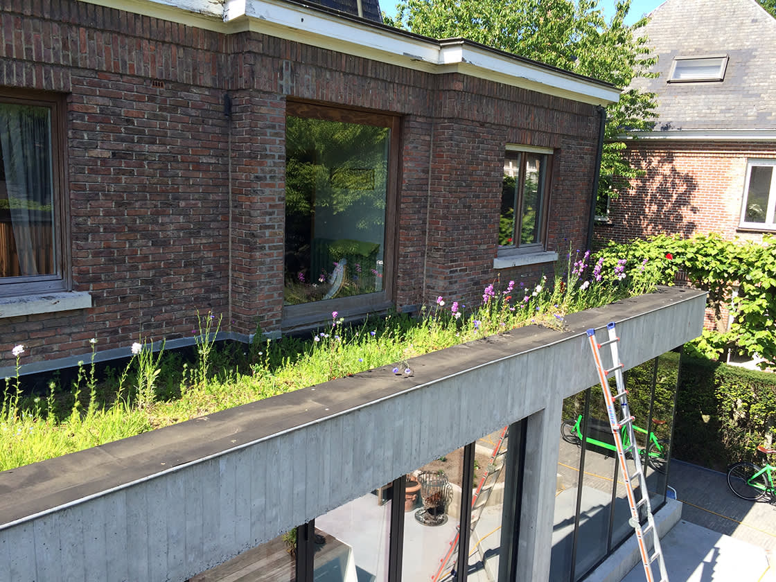 vrijheidslaan_groendak_mei2019_4